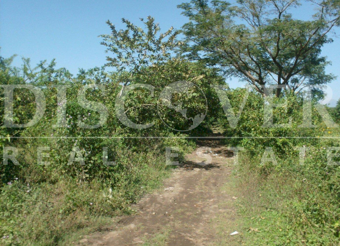 https://images.discovernica.com/propiedad/1600/4209_1_.jpg