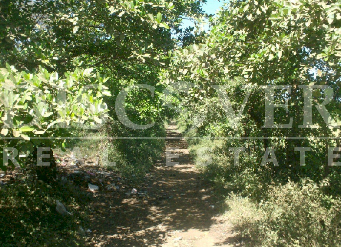 https://images.discovernica.com/propiedad/1600/4209_2_.jpg