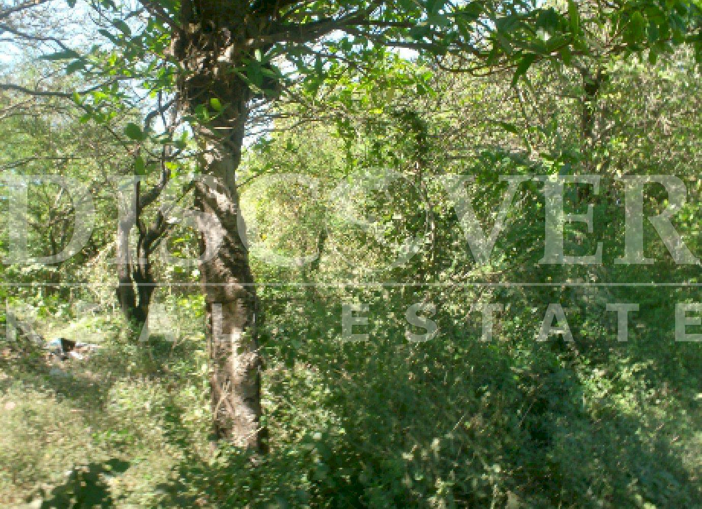 https://images.discovernica.com/propiedad/1600/4209_4_.jpg