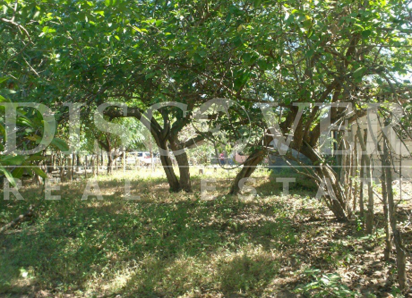 https://images.discovernica.com/propiedad/1600/4210_4_.jpg