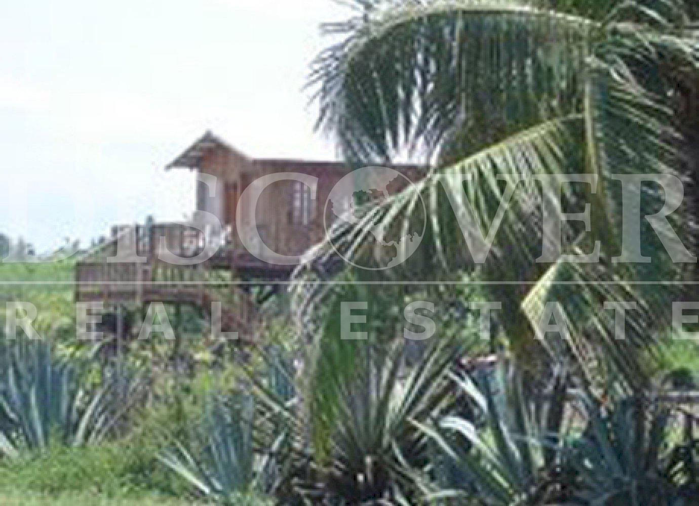 Imagen 2 de la galería