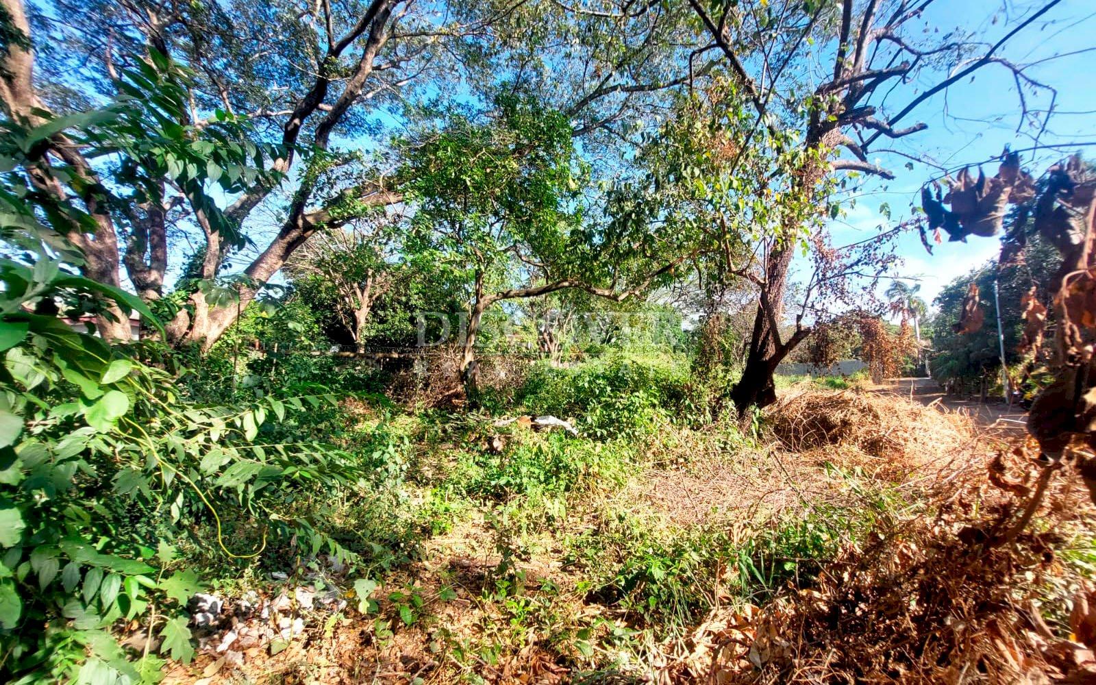 https://images.discovernica.com/propiedad/1600/4571_WEB_4.jpg
