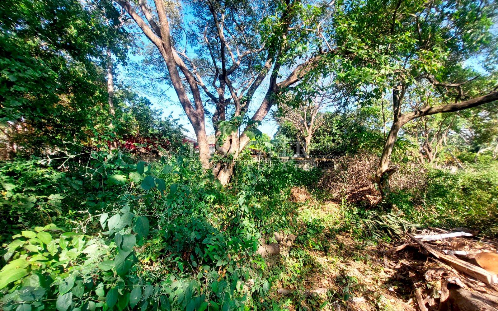 https://images.discovernica.com/propiedad/1600/4571_WEB_5.jpg