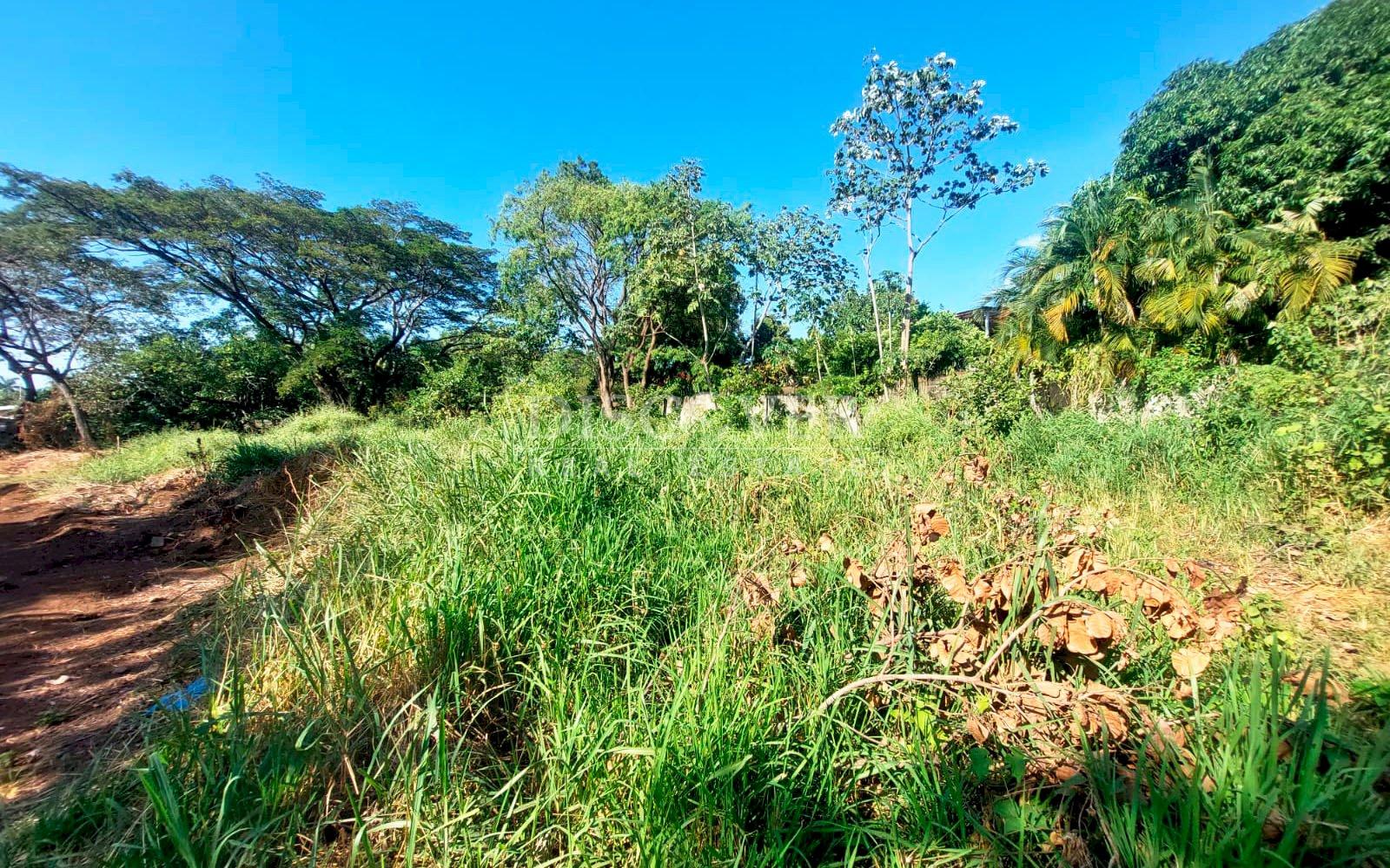 https://images.discovernica.com/propiedad/1600/4571_WEB_6.jpg