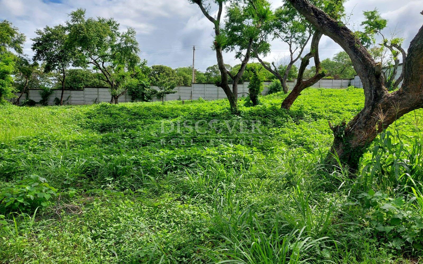  Land for sale on Pista Jean Paul Genie