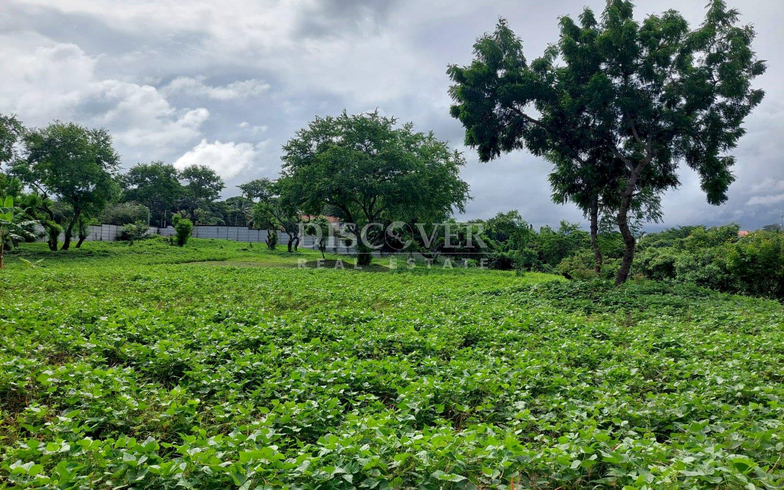  Land for sale on Pista Jean Paul Genie