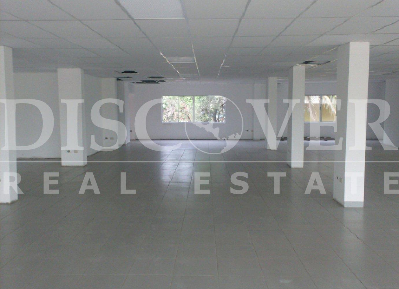 Imagen 3 de la galería