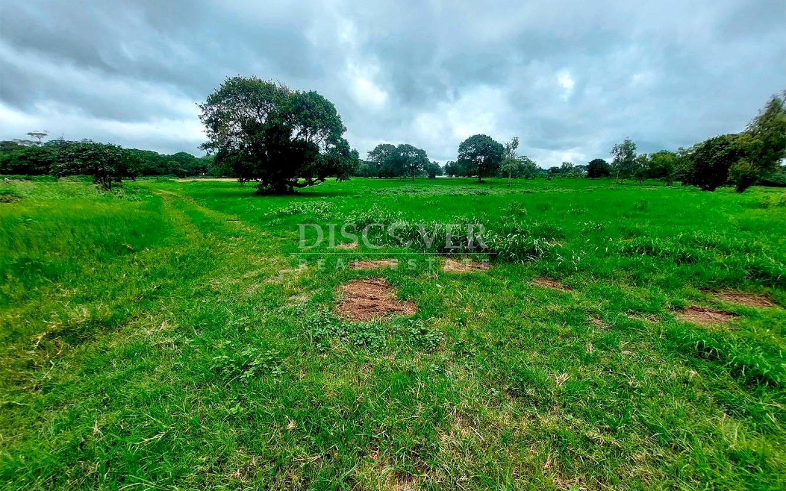  Land for sale in front of South Panamerican Highway