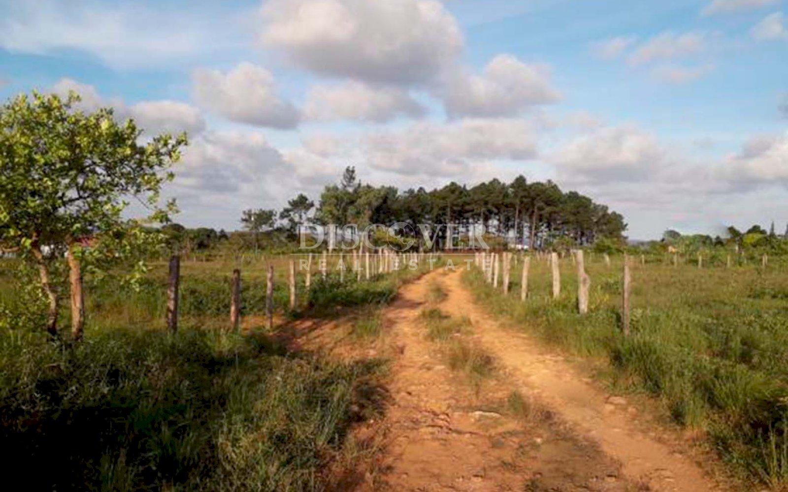  Land for sale in Bluefields