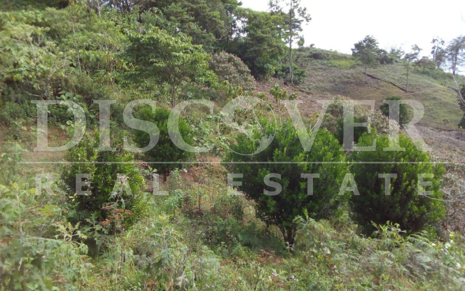 https://images.discovernica.com/propiedad/1600/4b9ec714_b1aa_47d9_bf2d_f092461b3e84.jpg