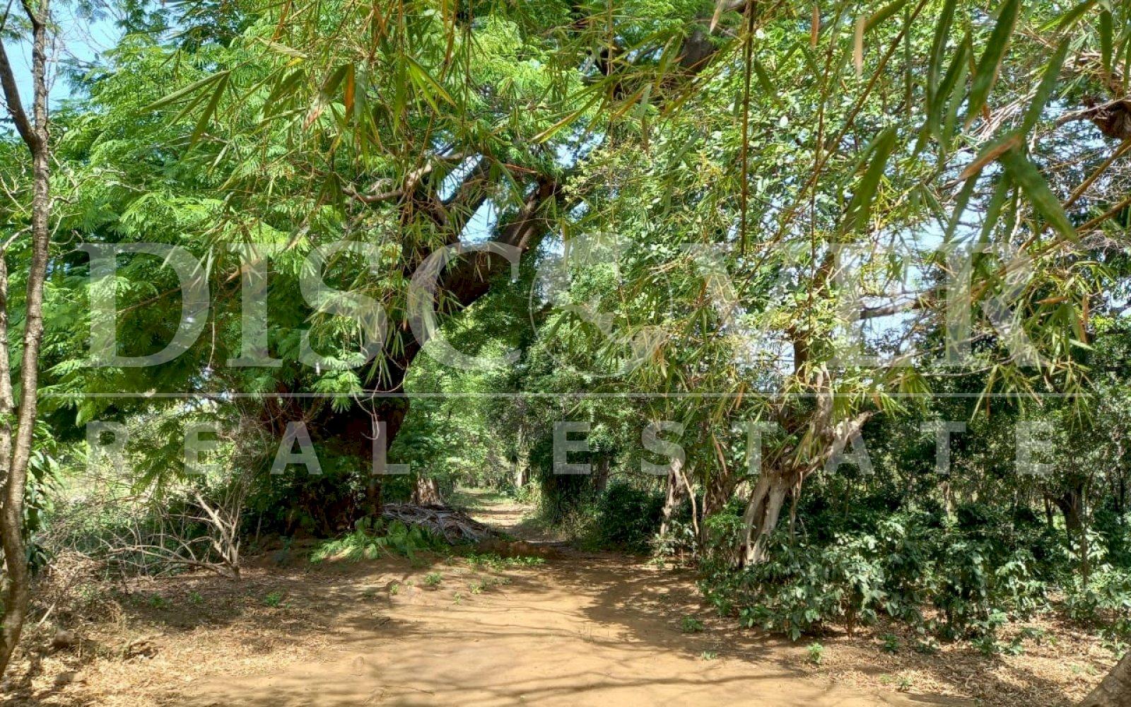 Imagen 2 de la galería