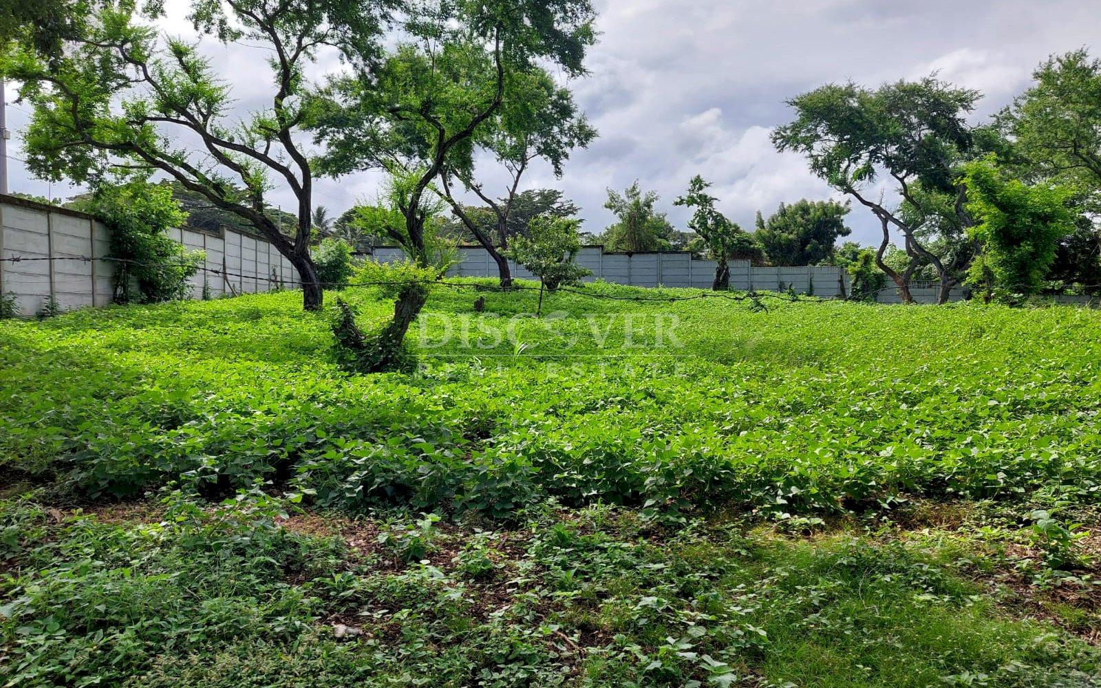  Land for sale on Pista Jean Paul Genie