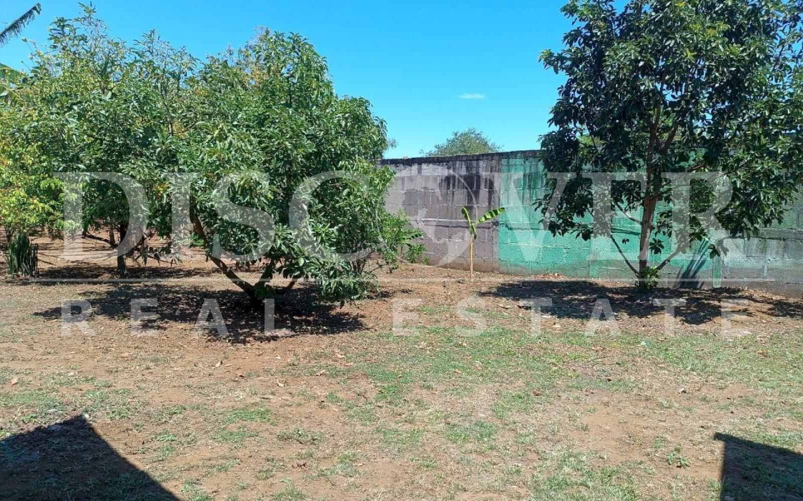 Imagen 11 de la galería