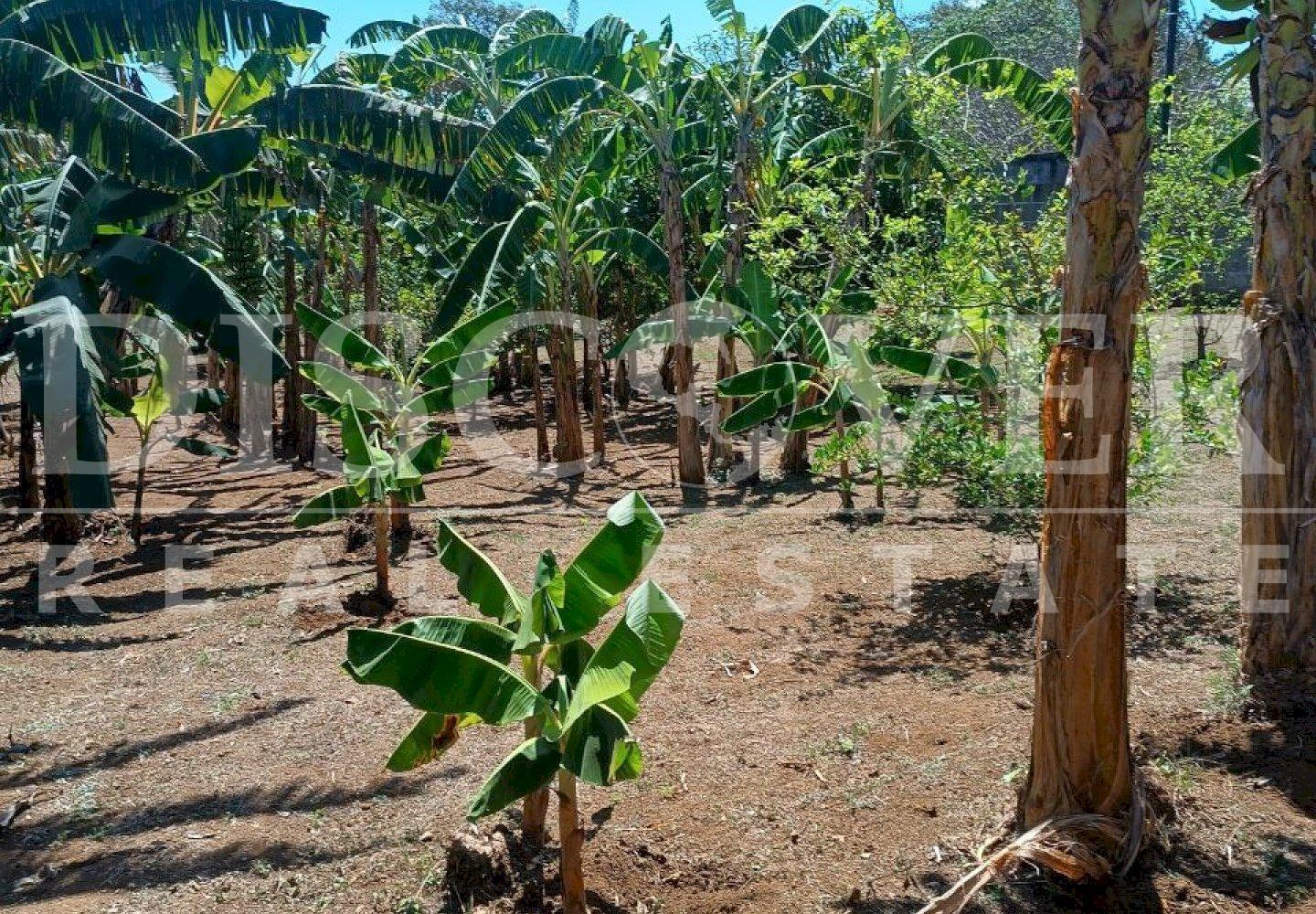 Imagen 4 de la galería