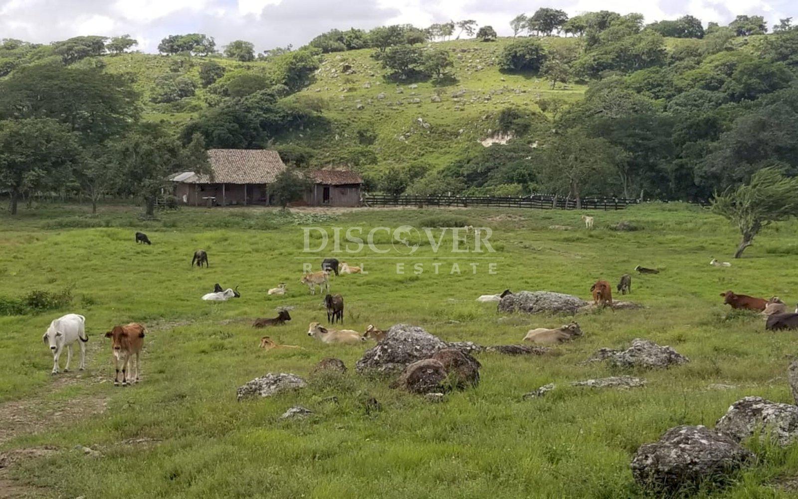  Cattle ranch for sale on Carretera Norte 