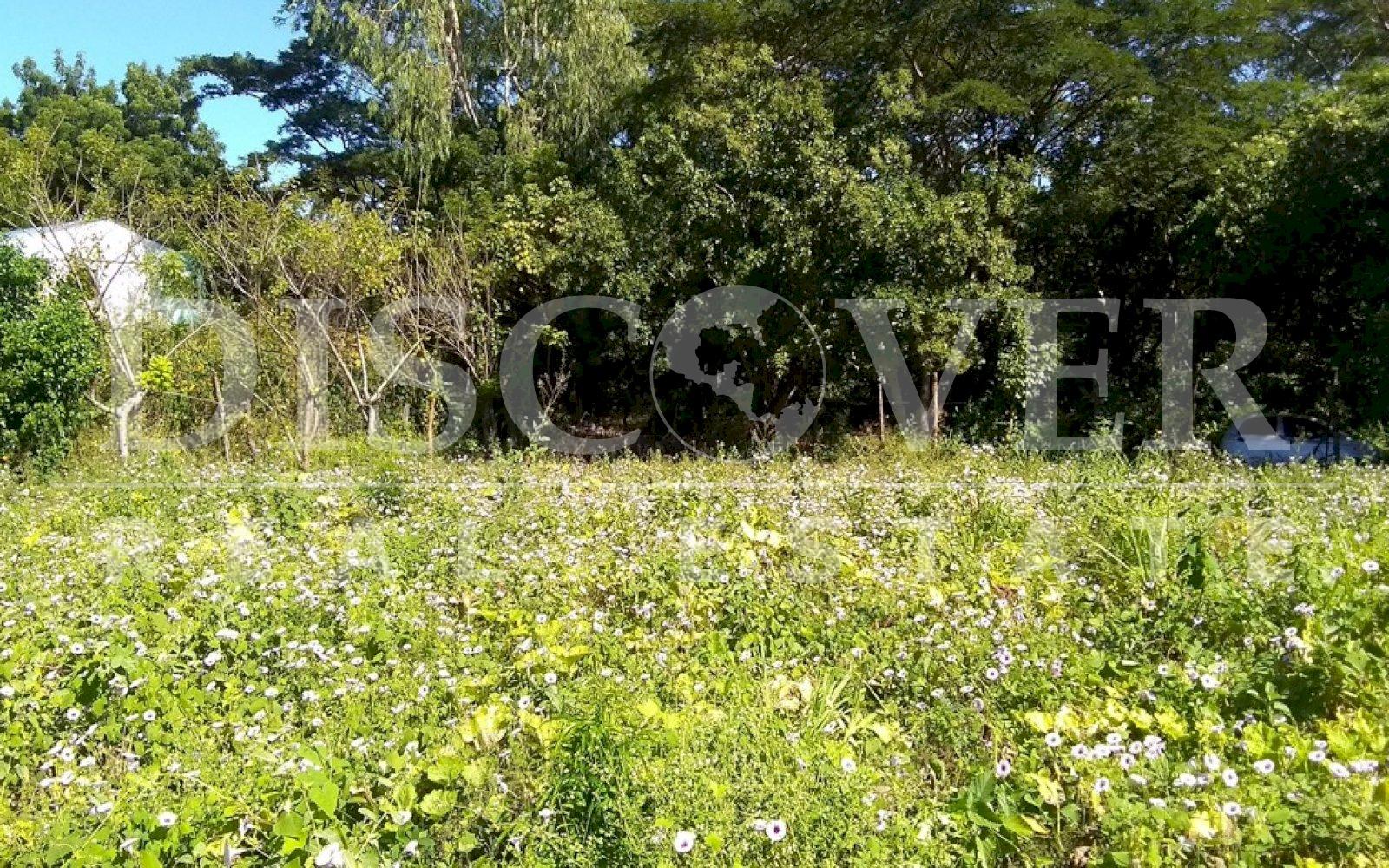 Imagen 3 de la galería