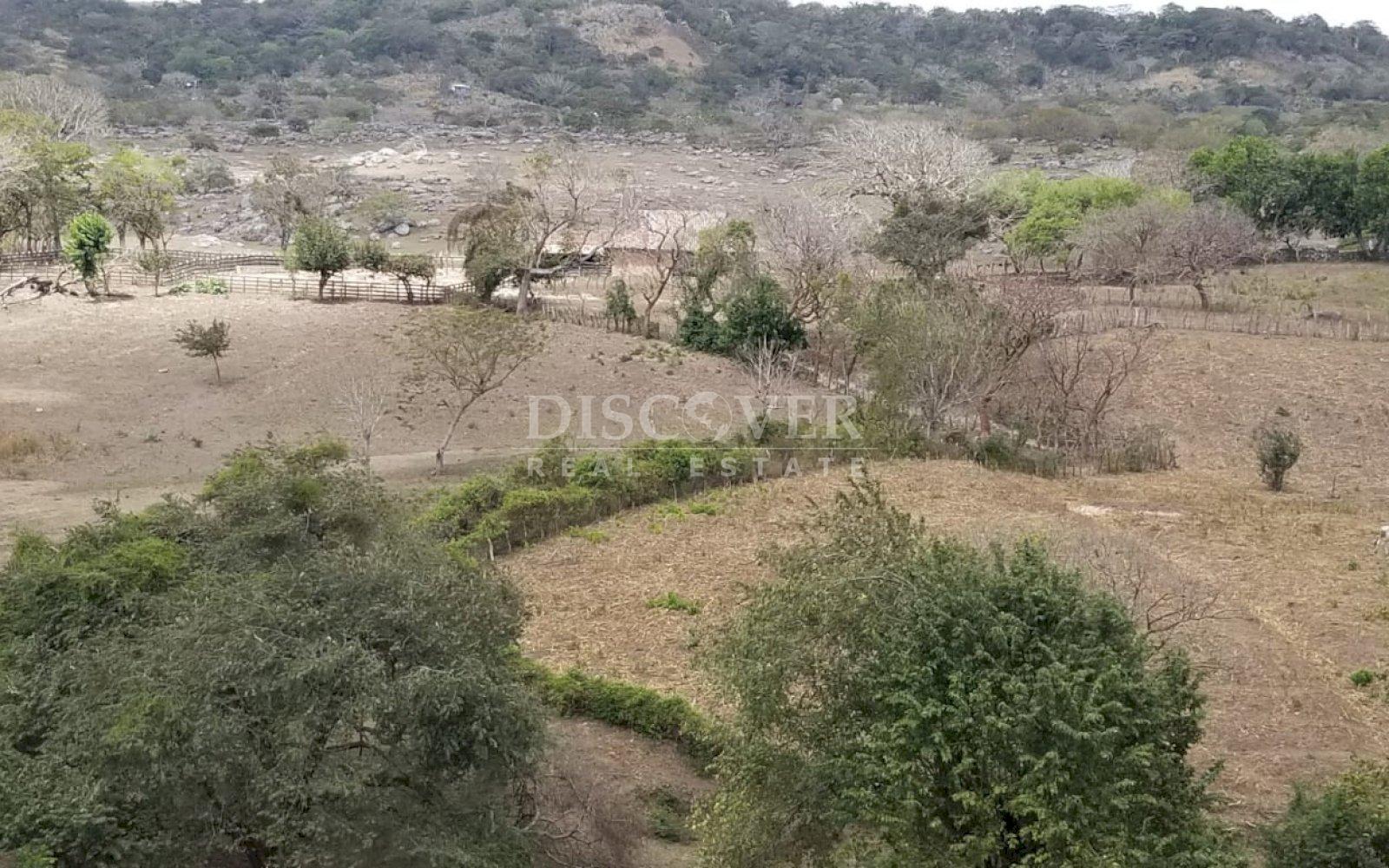  Cattle ranch for sale on Carretera Norte 