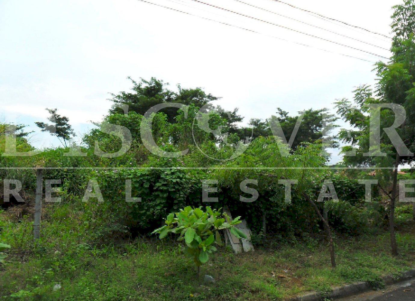 https://images.discovernica.com/propiedad/1600/5921_3_.JPG