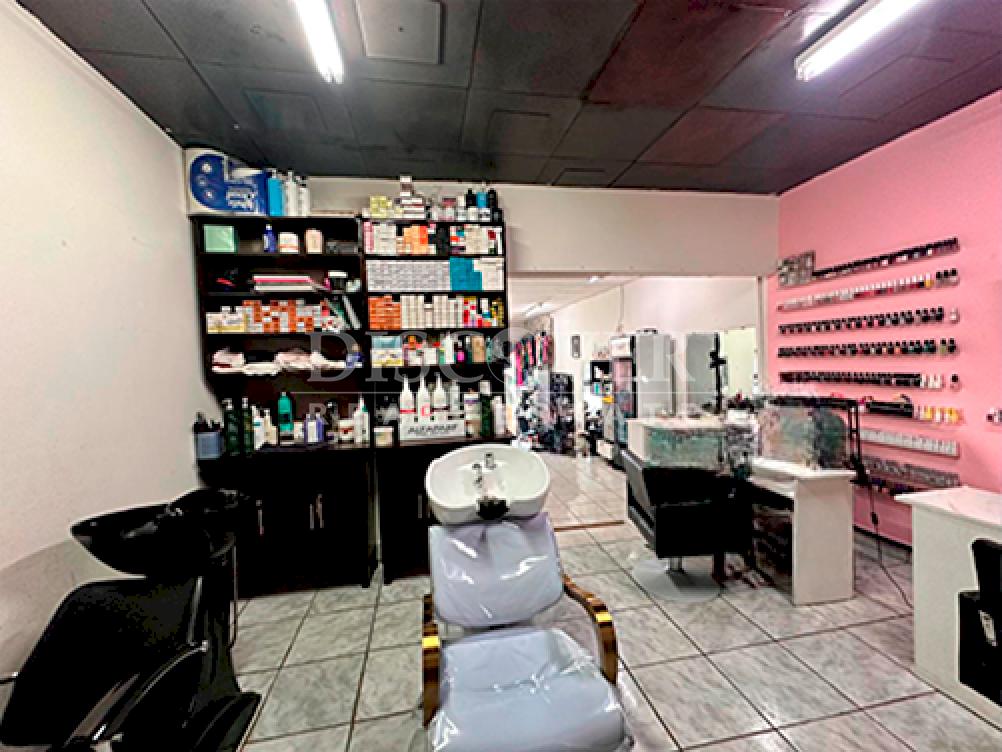 Imagen 2 de la galería