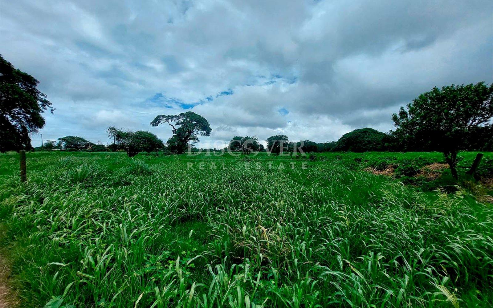  Land for sale in front of South Panamerican Highway