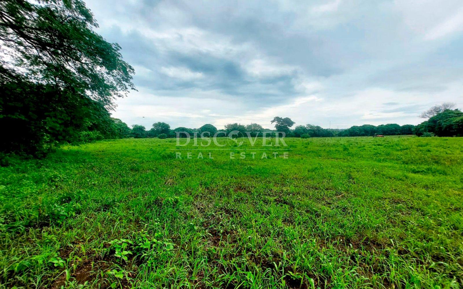 Imagen 1 de la galería