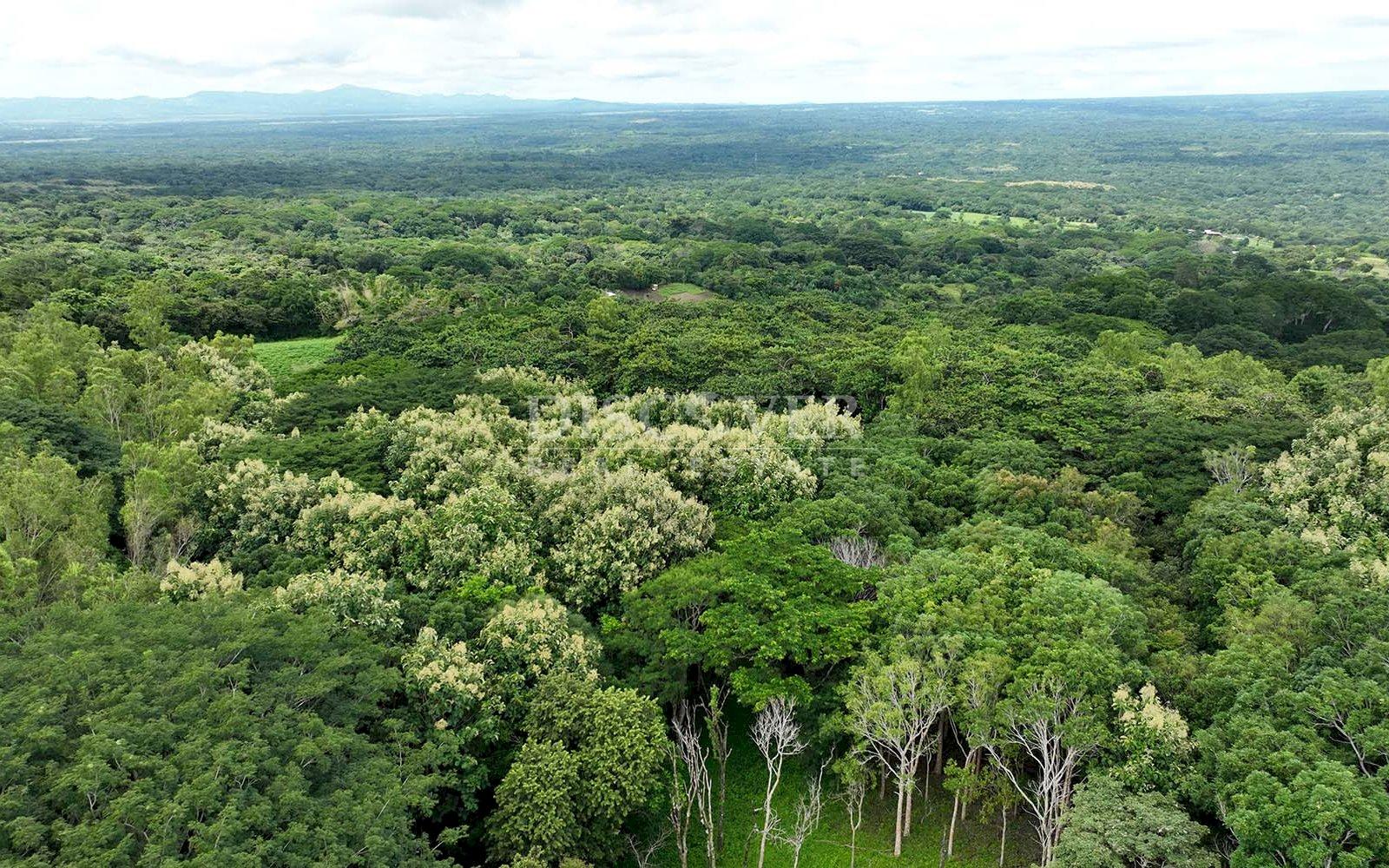 Imagen 4 de la galería