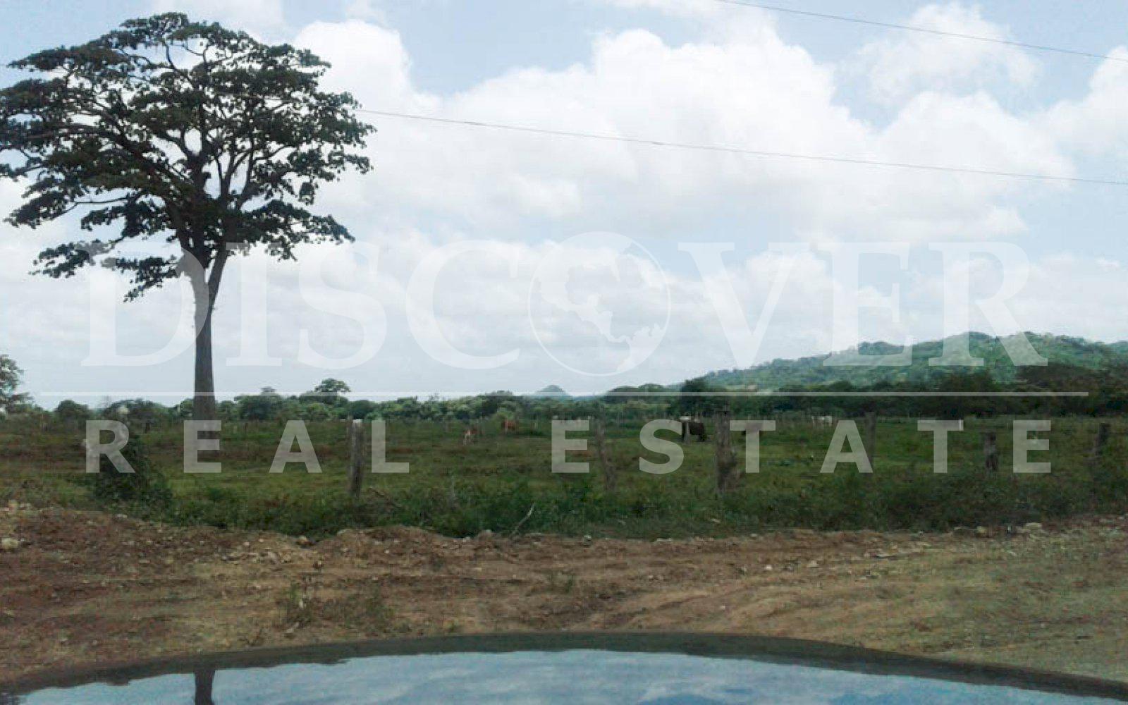 Imagen 4 de la galería