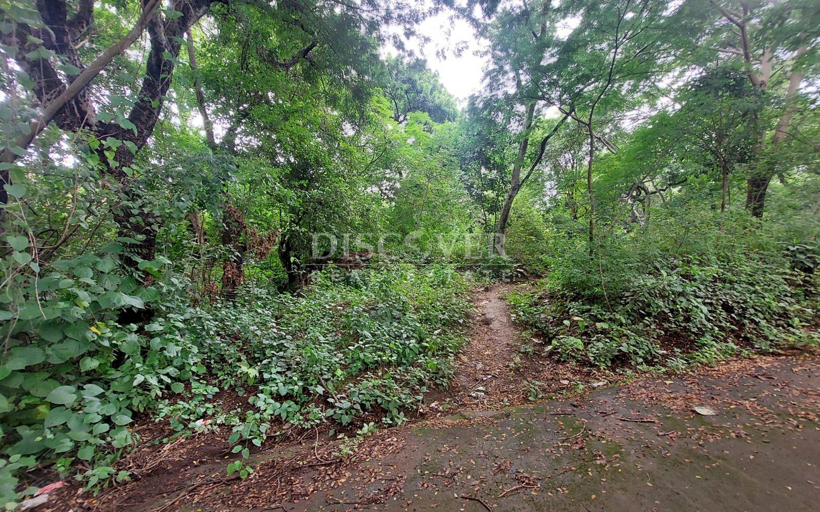 https://images.discovernica.com/propiedad/1600/5bb8c42b_eab6_4a9c_b0d8_6199f25c2868.jpg