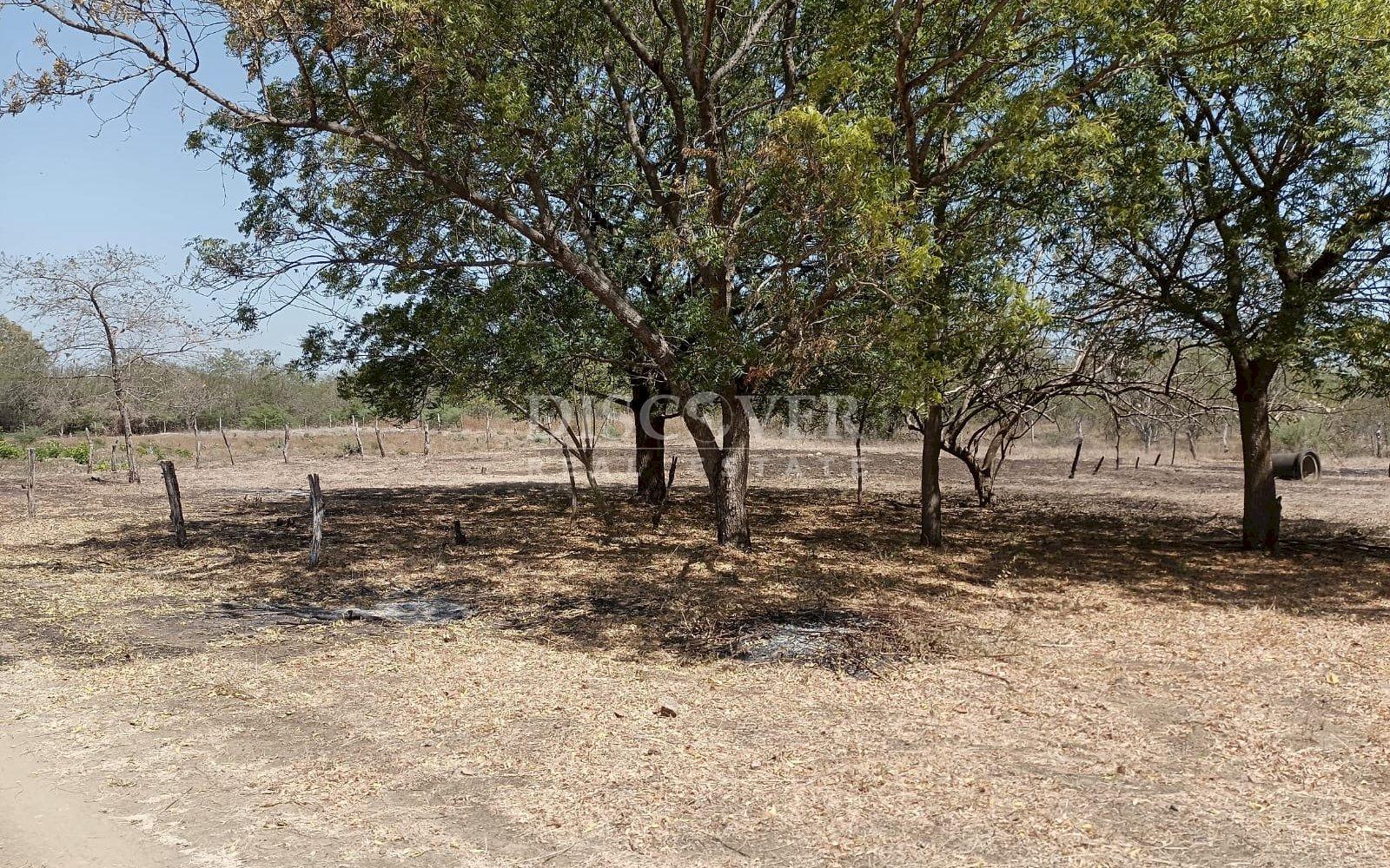  Beachfront land for sale in La Boquita