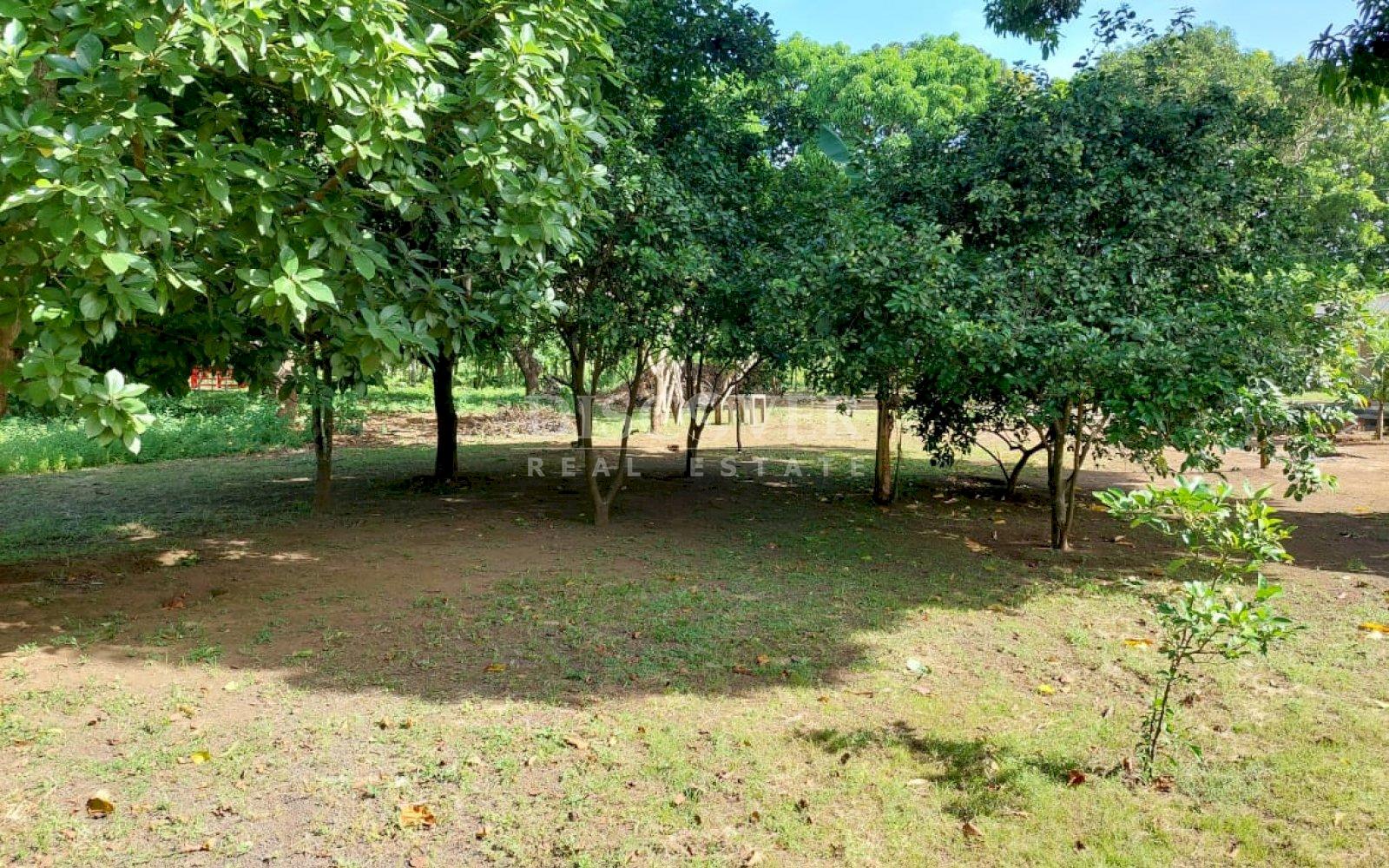  House for Sale in Veracruz Area ID 13019