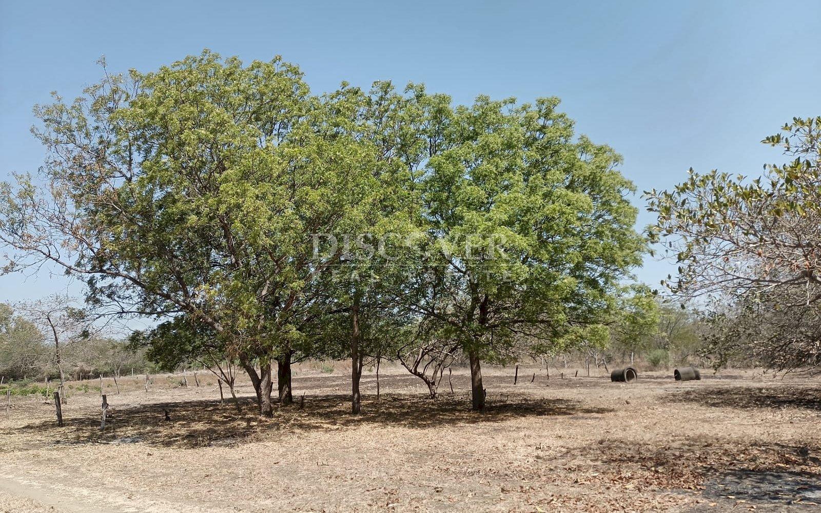  Beachfront land for sale in La Boquita