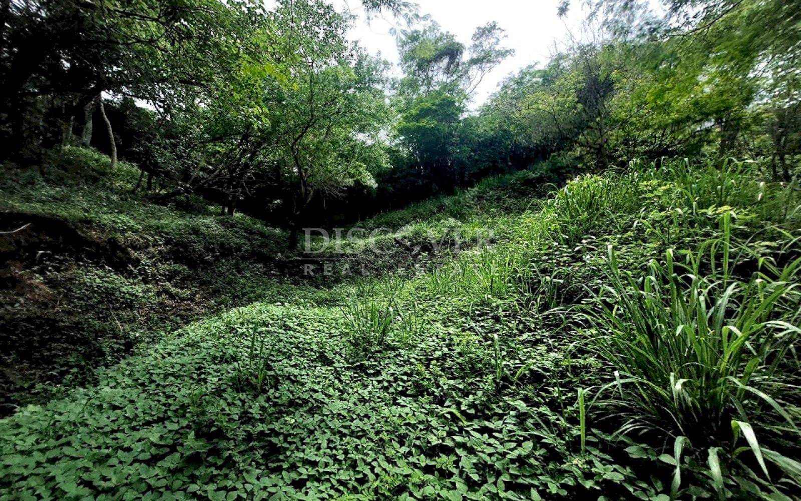 Imagen 4 de la galería