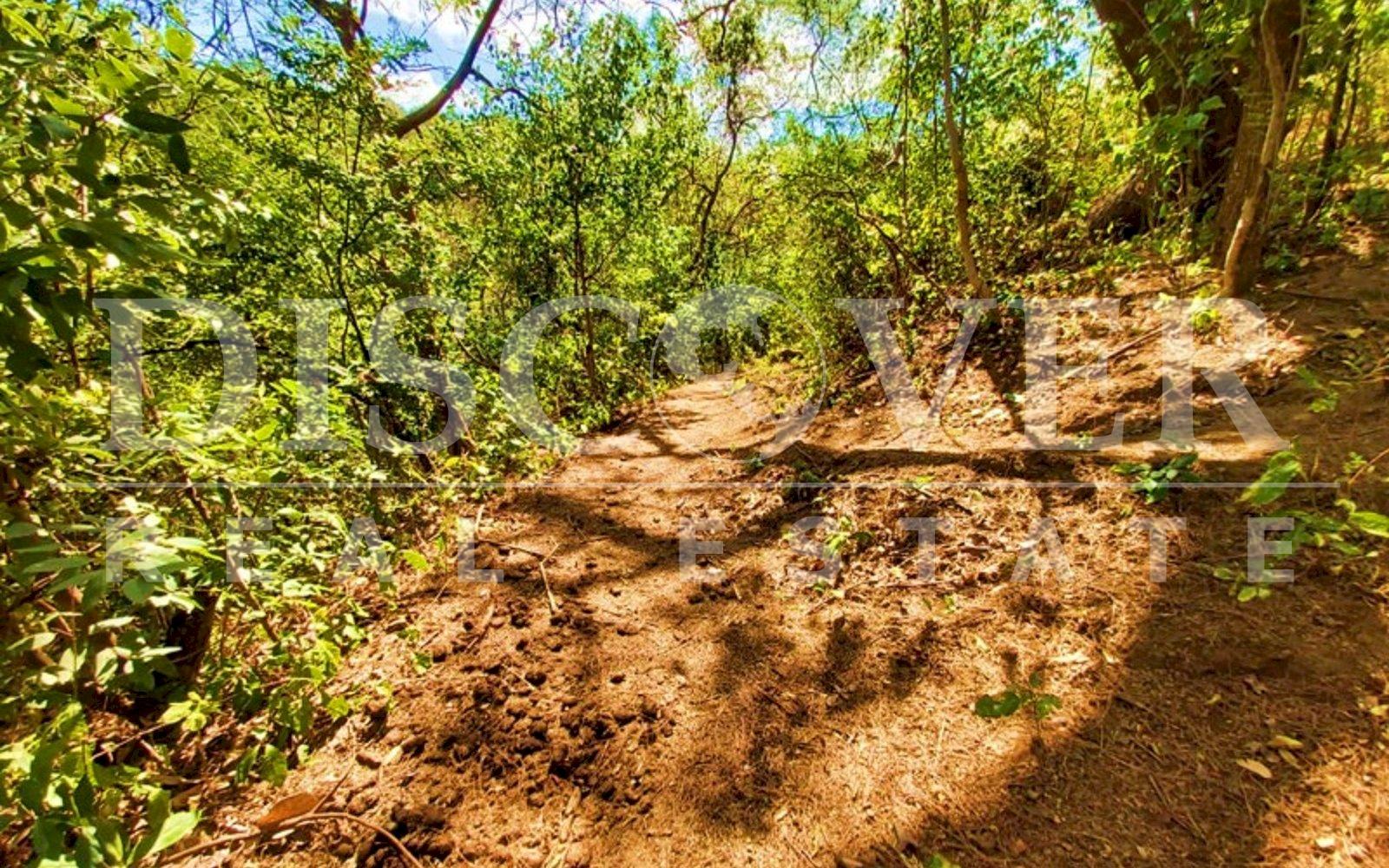 Imagen 4 de la galería