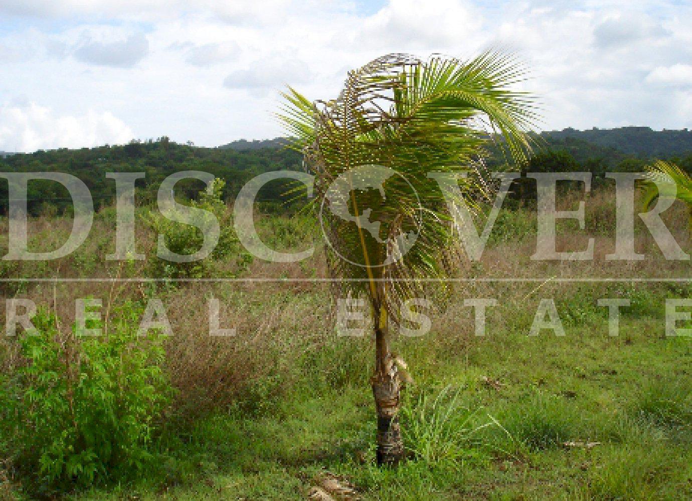 https://images.discovernica.com/propiedad/1600/6481_3_.jpg