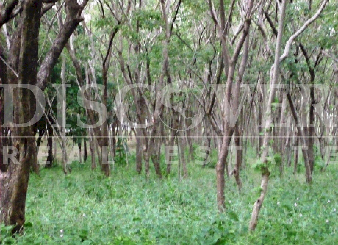 https://images.discovernica.com/propiedad/1600/6747.jpg