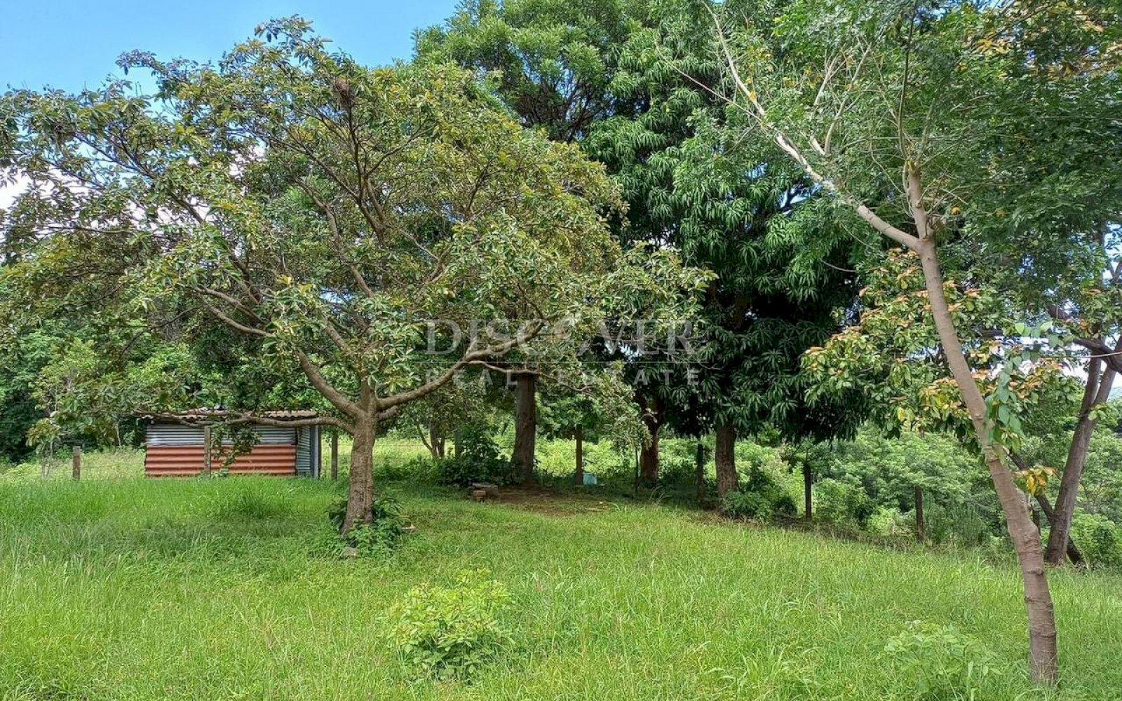 https://images.discovernica.com/propiedad/1600/675363dd_7886_4420_a3c1_eb0b49a67e26.jpg