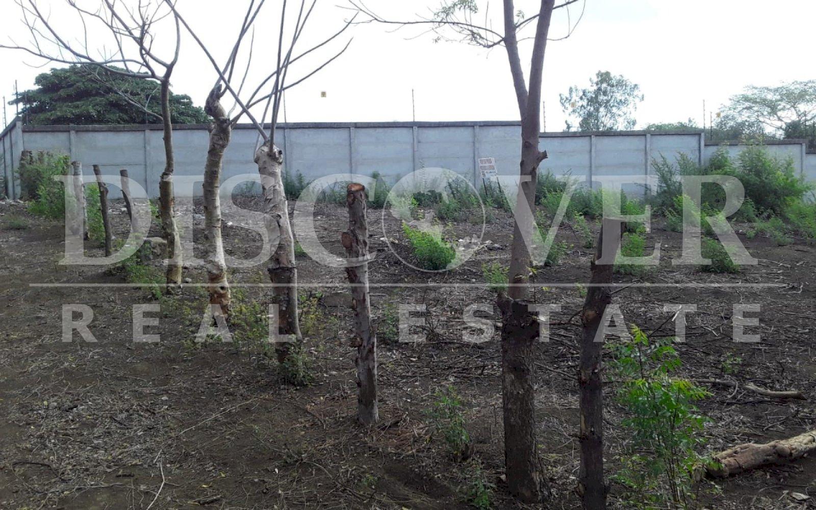 https://images.discovernica.com/propiedad/1600/6b89342a_7b9d_436e_838c_10e23c6cb74f.jpg