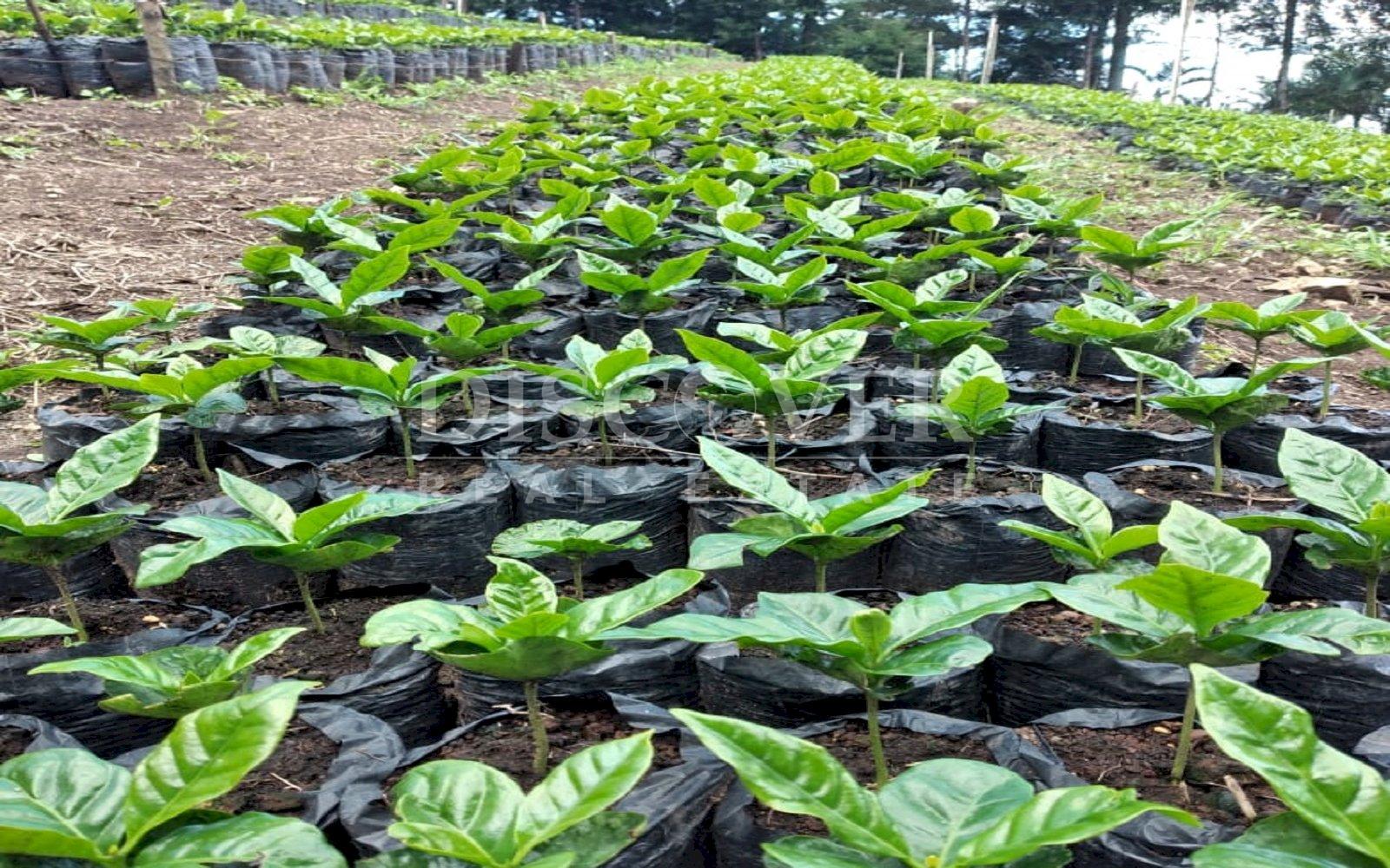 https://images.discovernica.com/propiedad/1600/6e9dd15e_89f0_4469_ab6a_438cda94a0b0.jpg