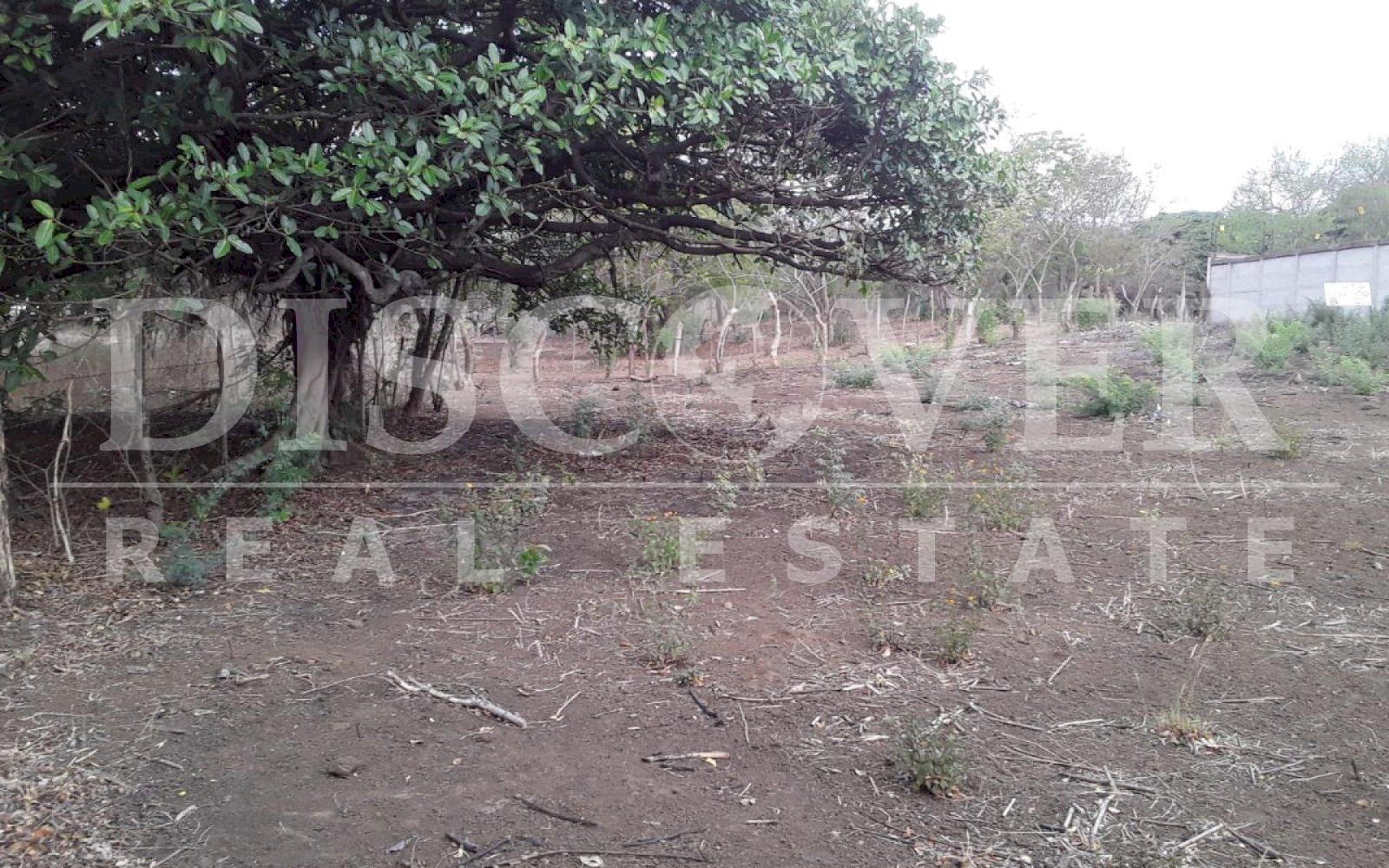 https://images.discovernica.com/propiedad/1600/700f5d35_de42_4ebb_bf0c_4eed5dcc4422.jpg