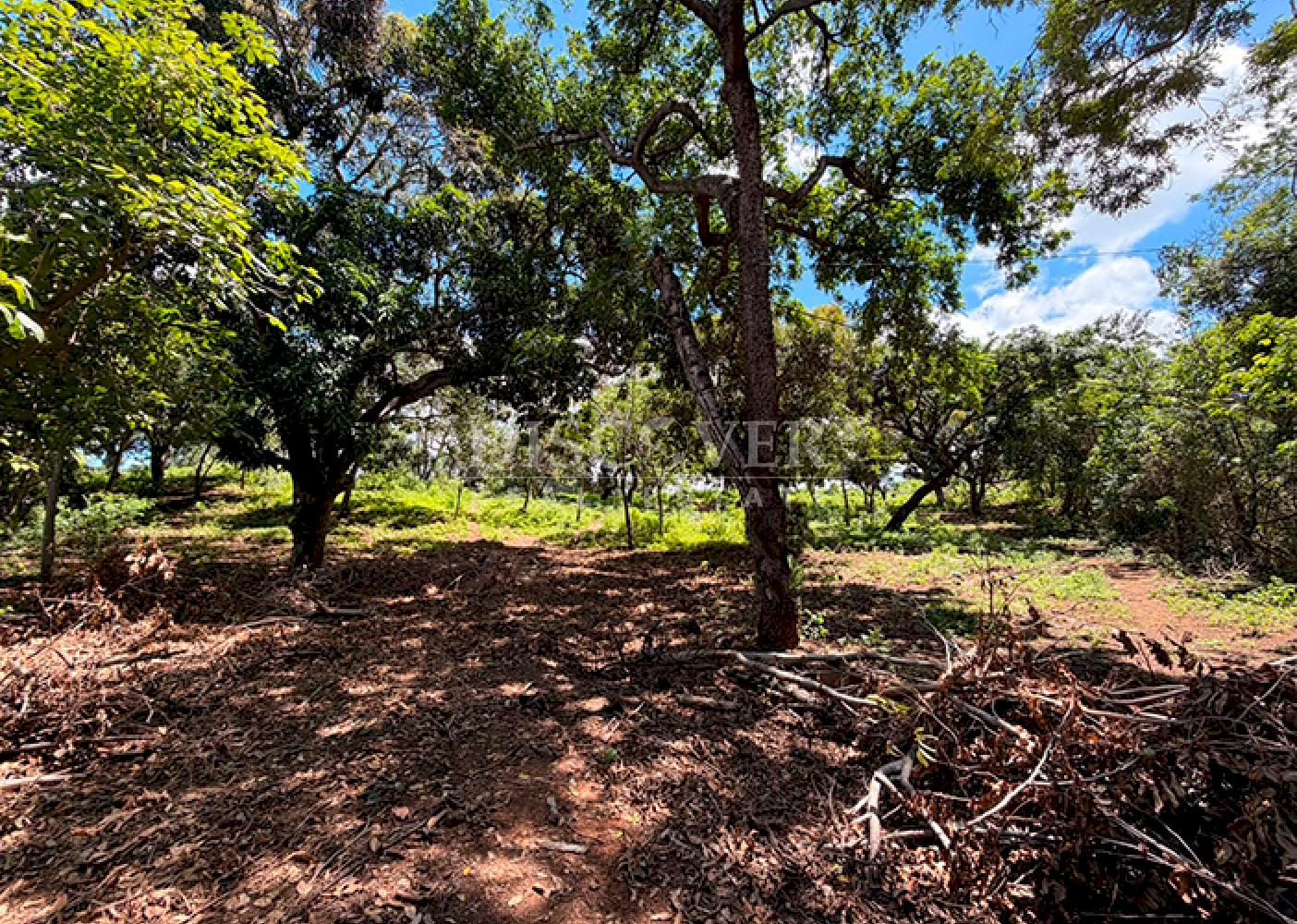 Land for Sale in Villa Fontana