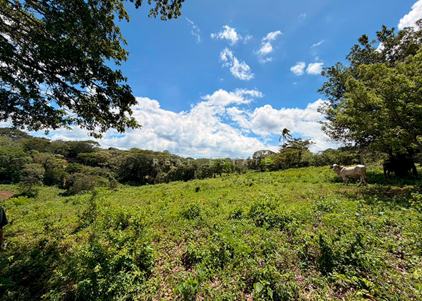 Land for Sale in Villa Fontana