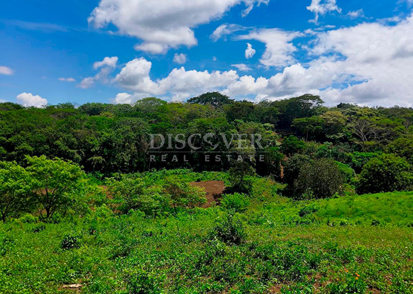 Land for Sale in Villa Fontana