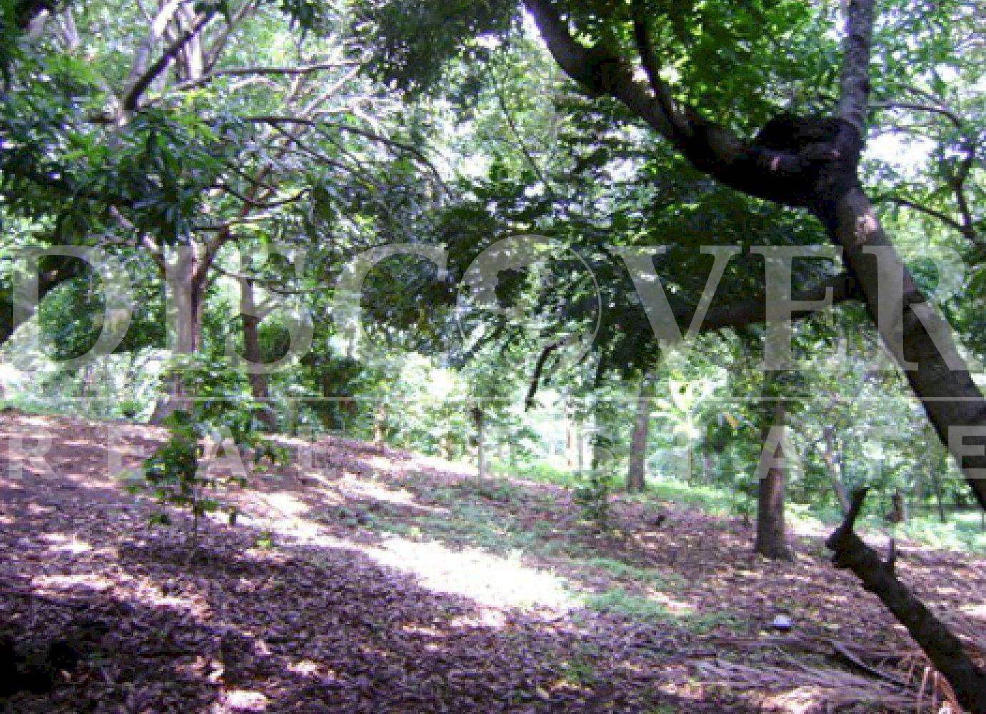 https://images.discovernica.com/propiedad/1600/775g2.jpg