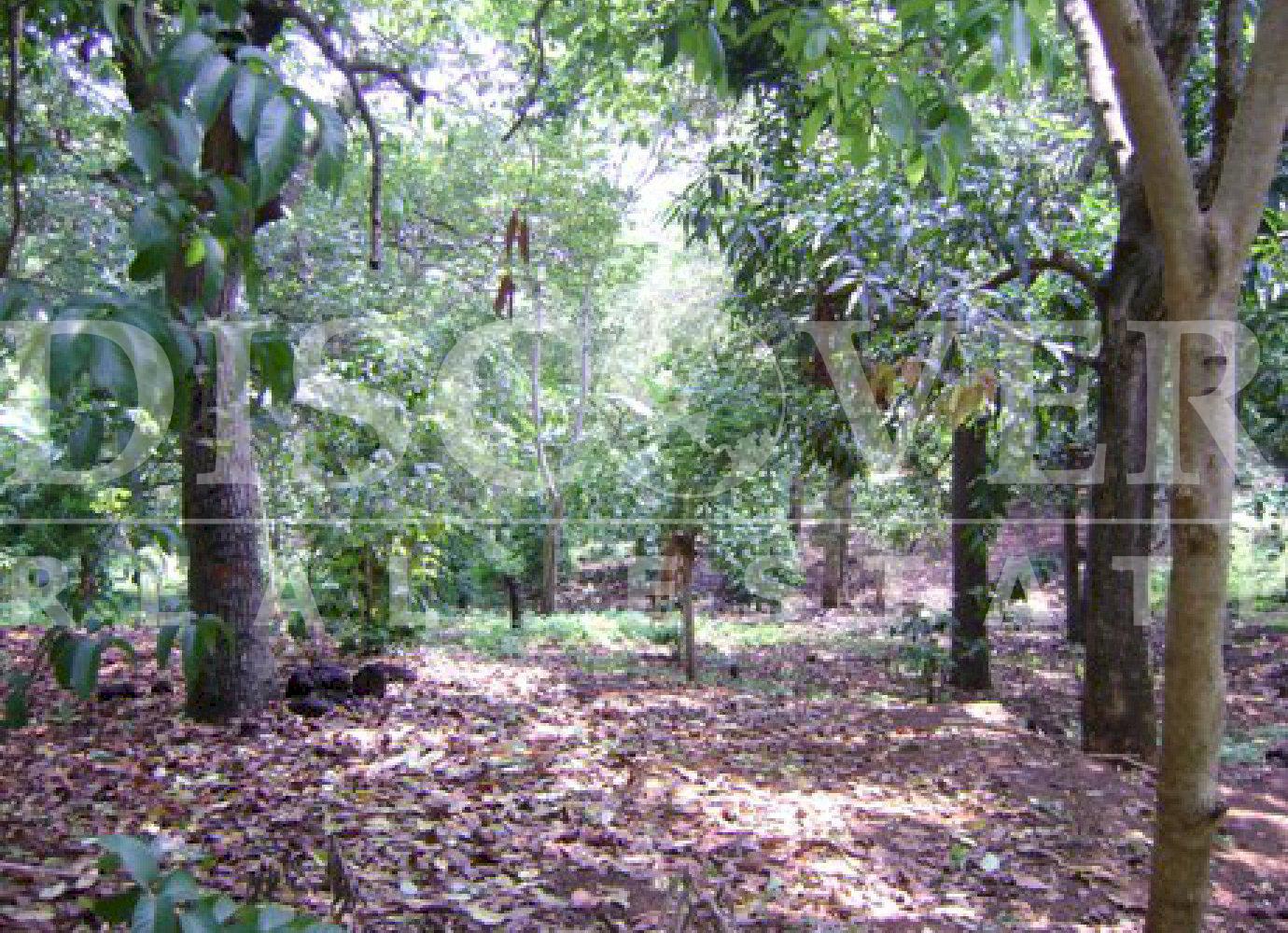 https://images.discovernica.com/propiedad/1600/775g4.jpg