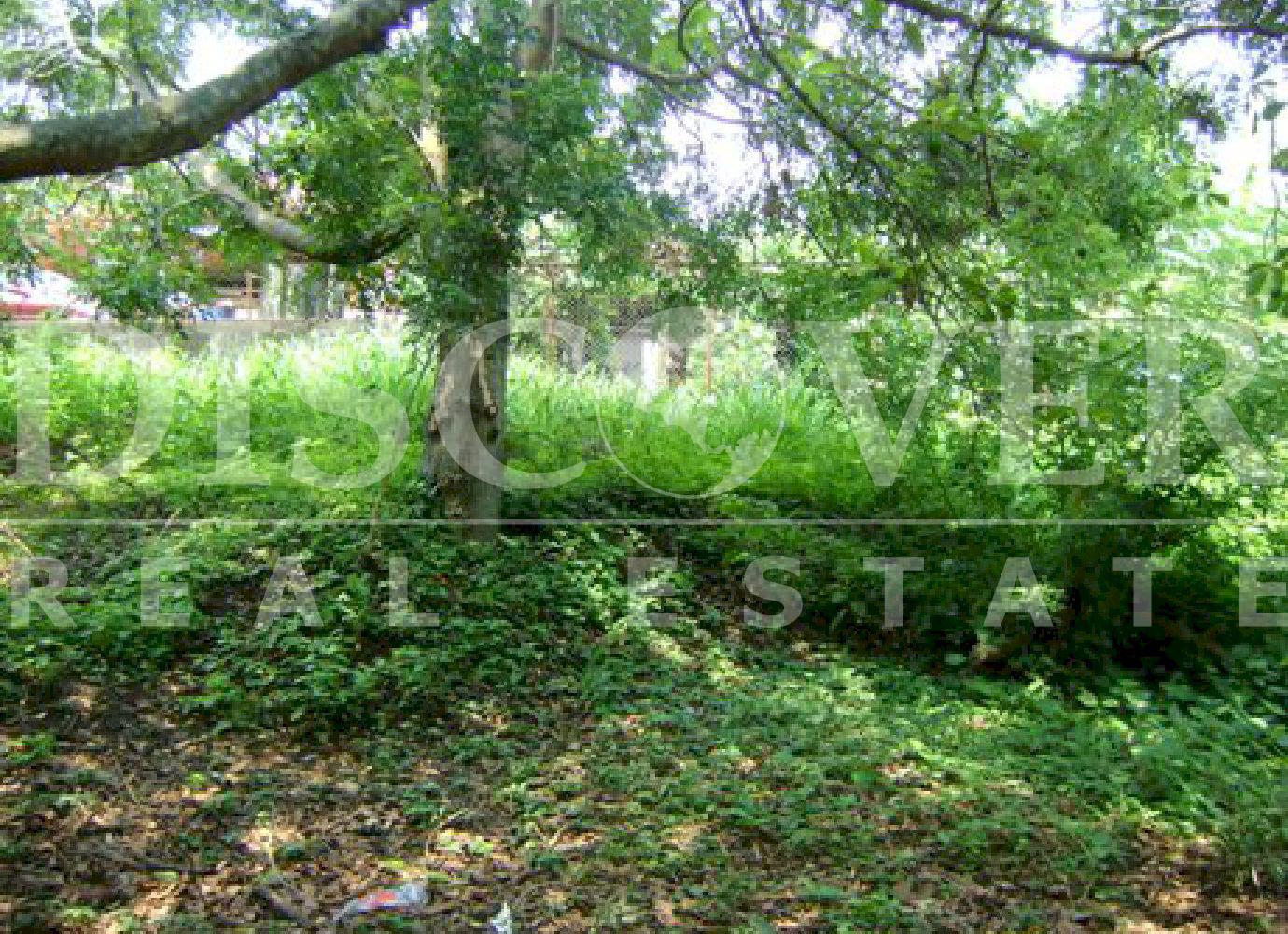 https://images.discovernica.com/propiedad/1600/775g5.jpg