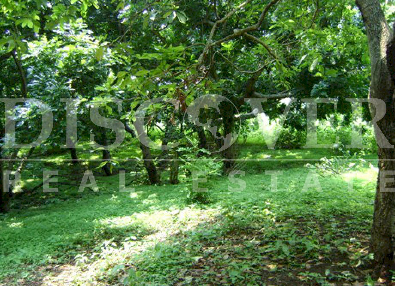 https://images.discovernica.com/propiedad/1600/775g6.jpg