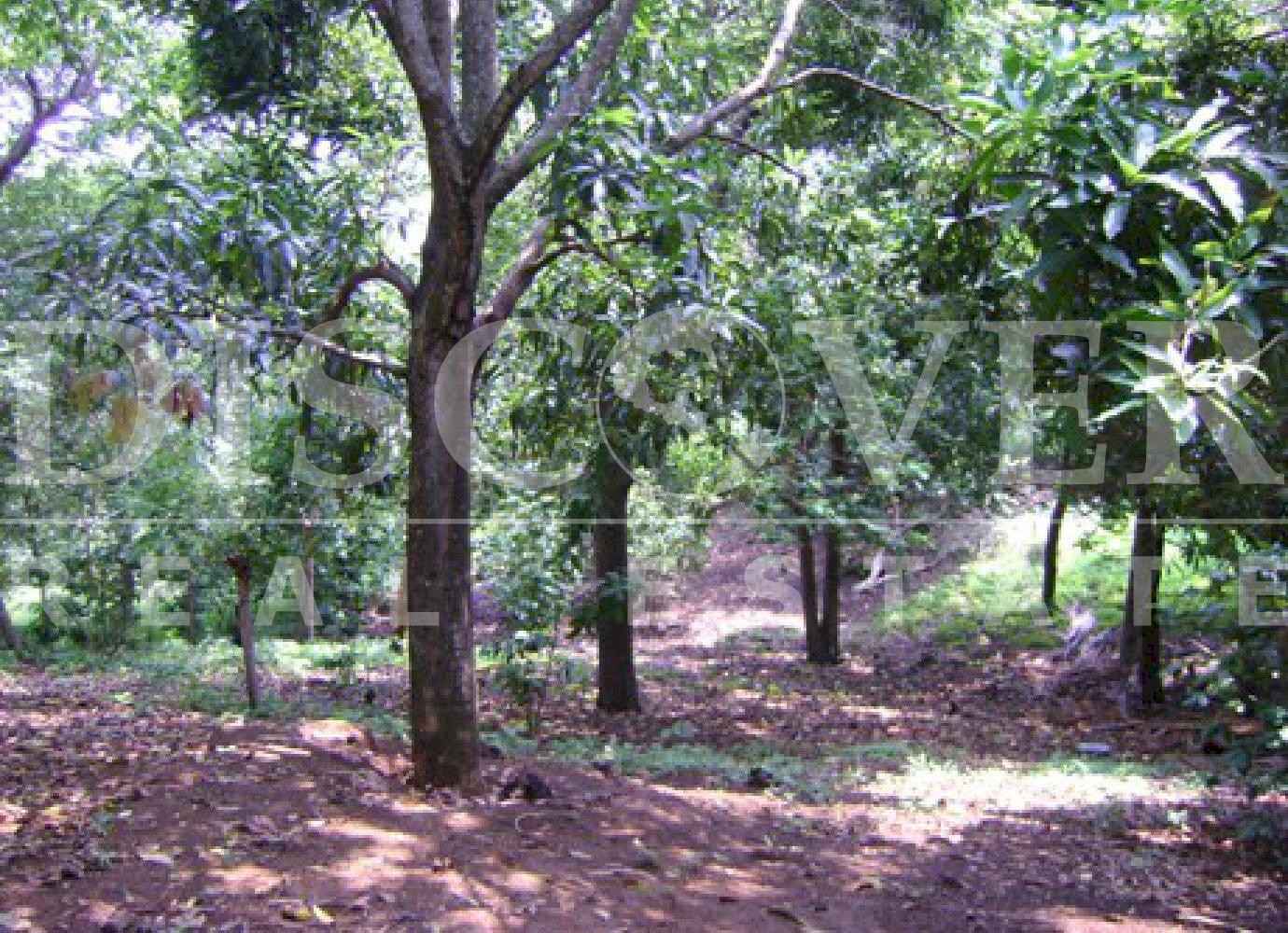 https://images.discovernica.com/propiedad/1600/775g7.jpg