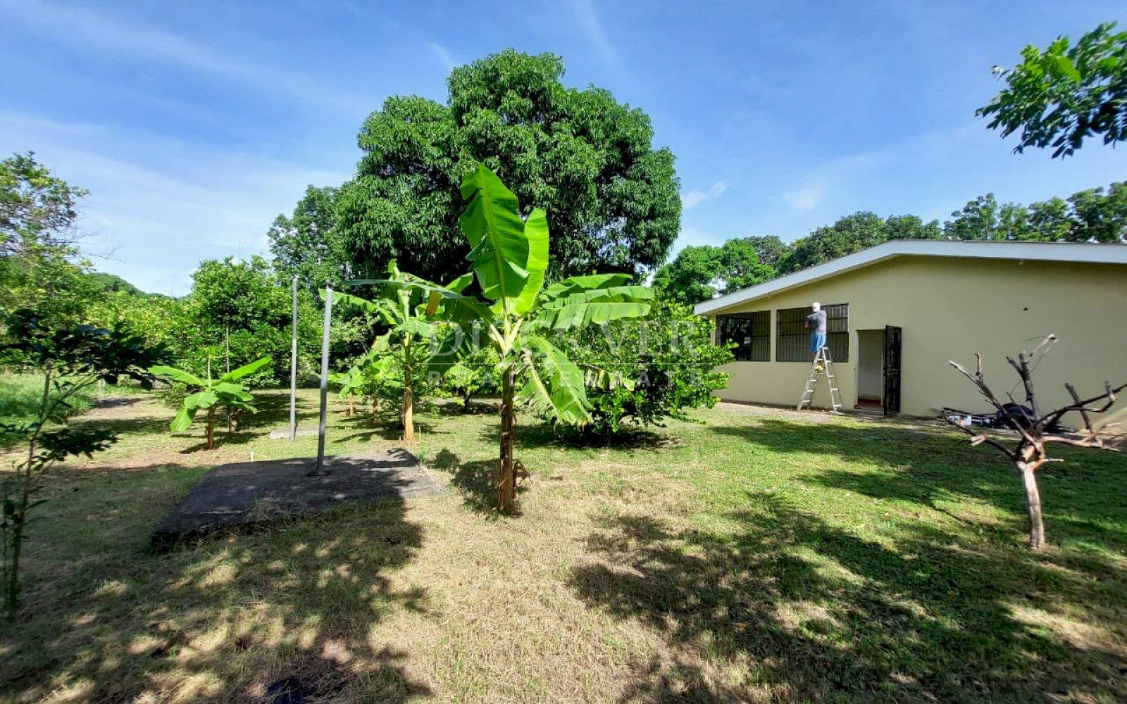  House for Sale in Veracruz Area ID 13019