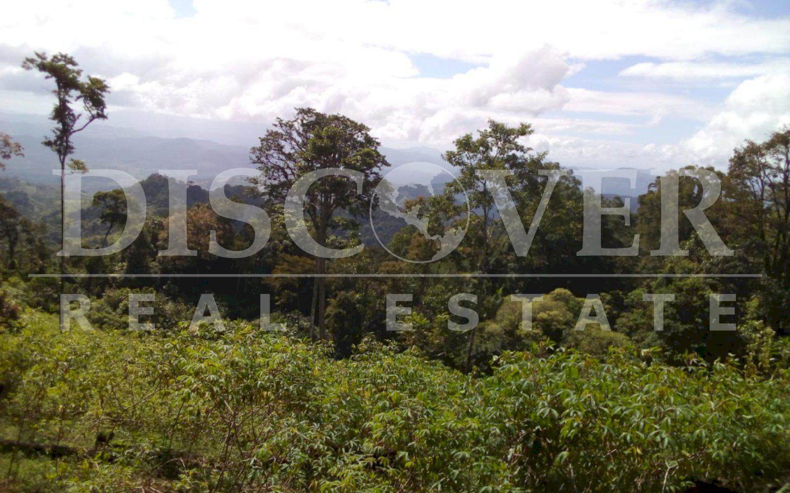 https://images.discovernica.com/propiedad/1600/78d8ad04_906b_4c94_bf1c_ad0116d22396.jpg