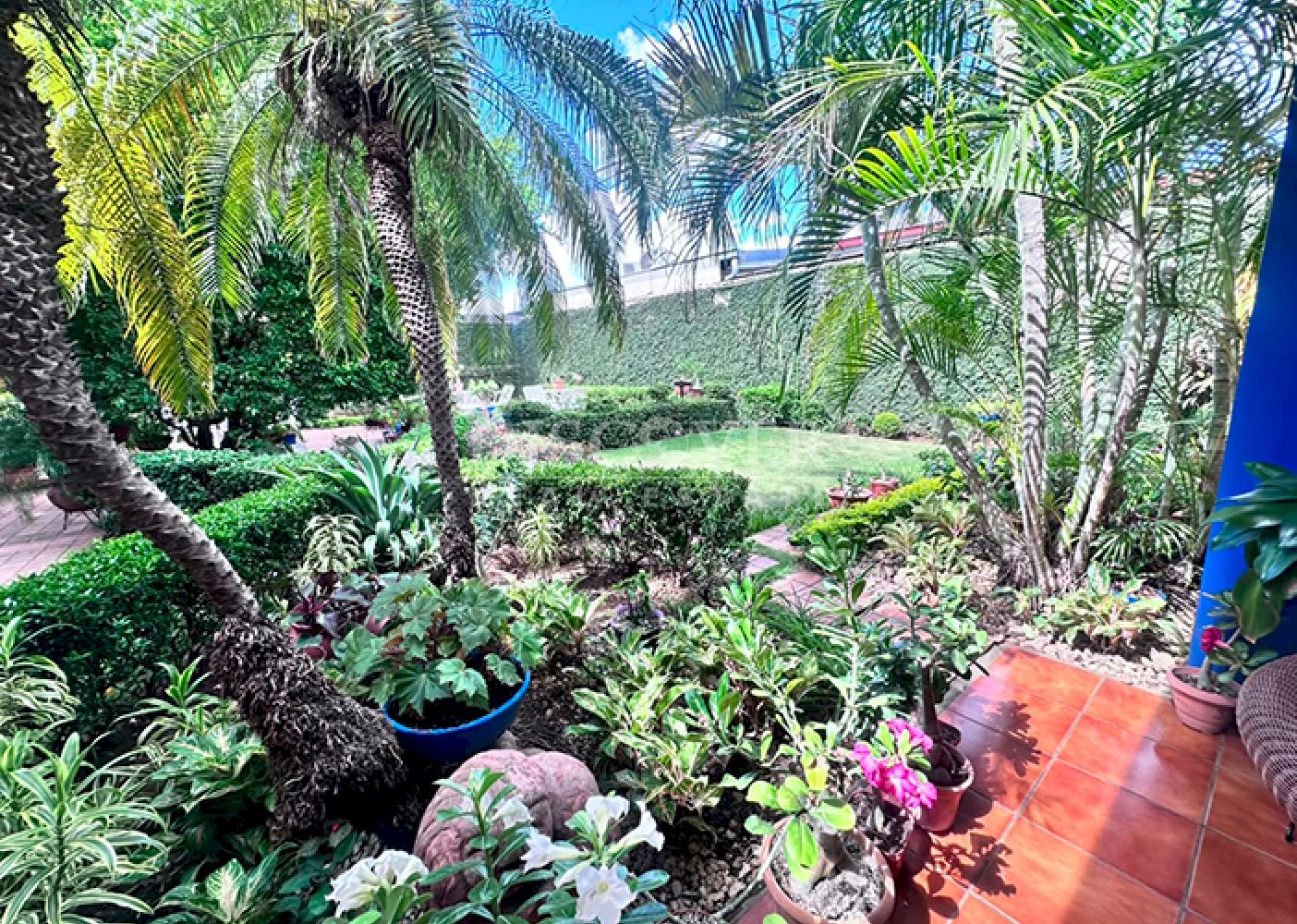  House for Sale in Bolonia – Ideal for Offices or as a Residence